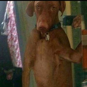 Meet your Posher, Reseller